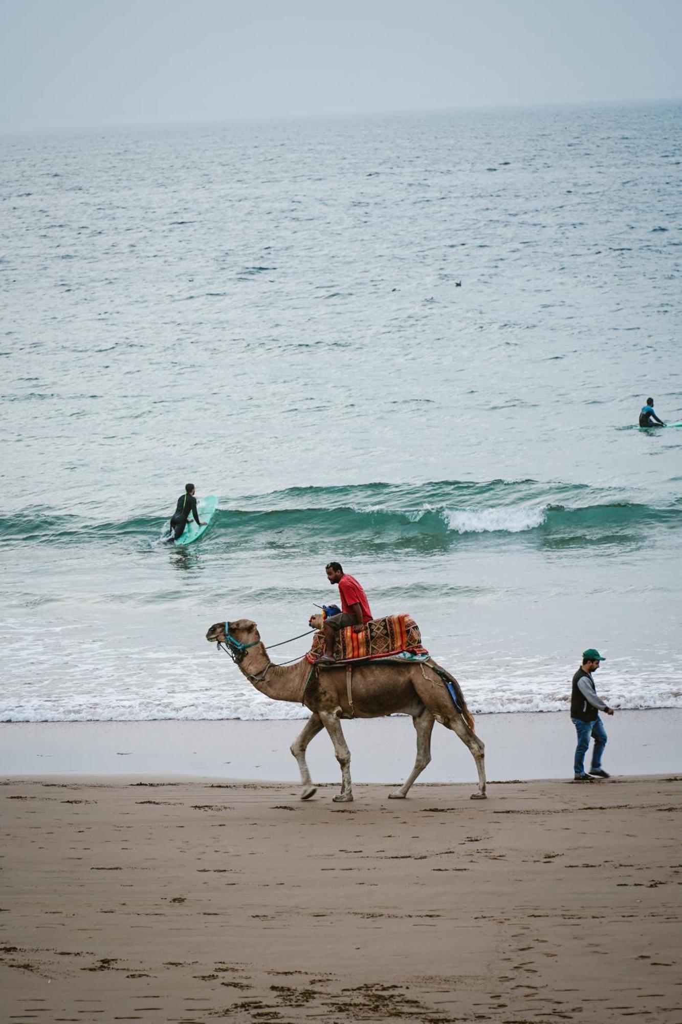 Dar Sultana Guesthouse Surf Morocco Tamraght Exteriör bild